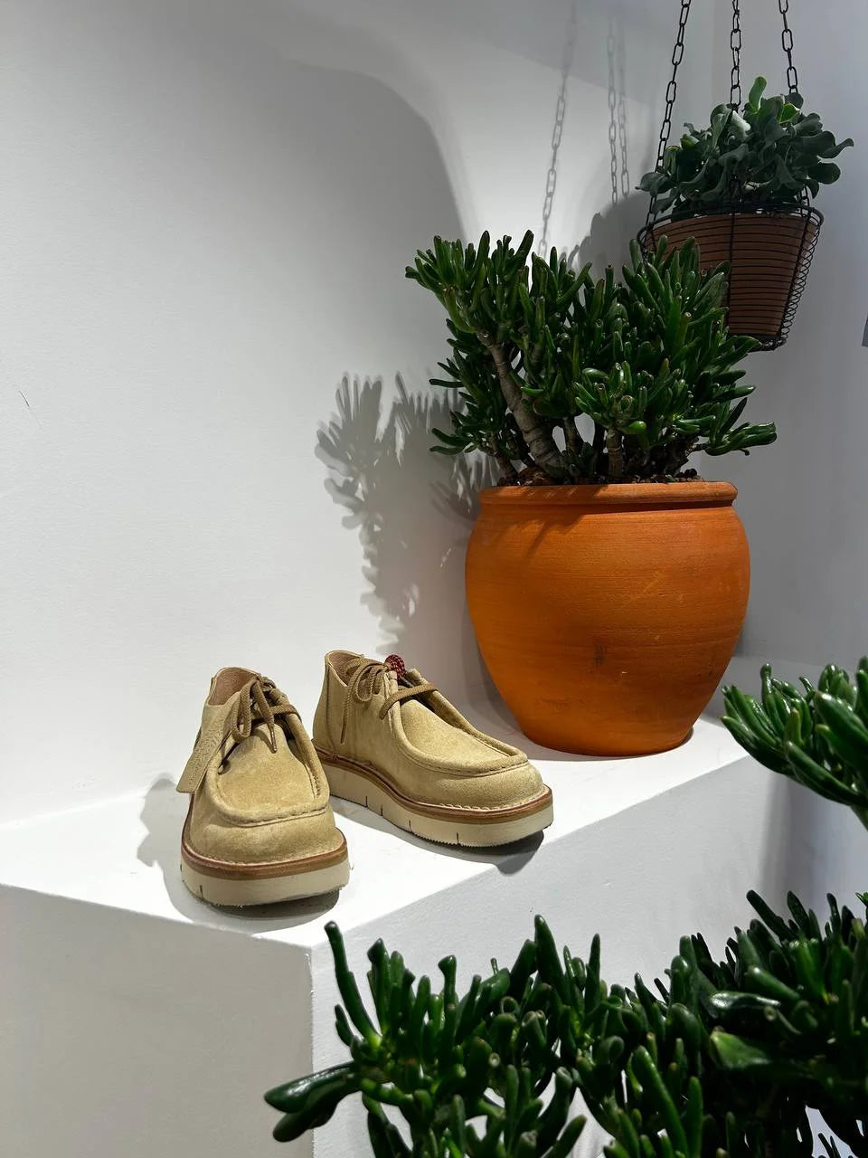 Astorflex Beenflex Deserto