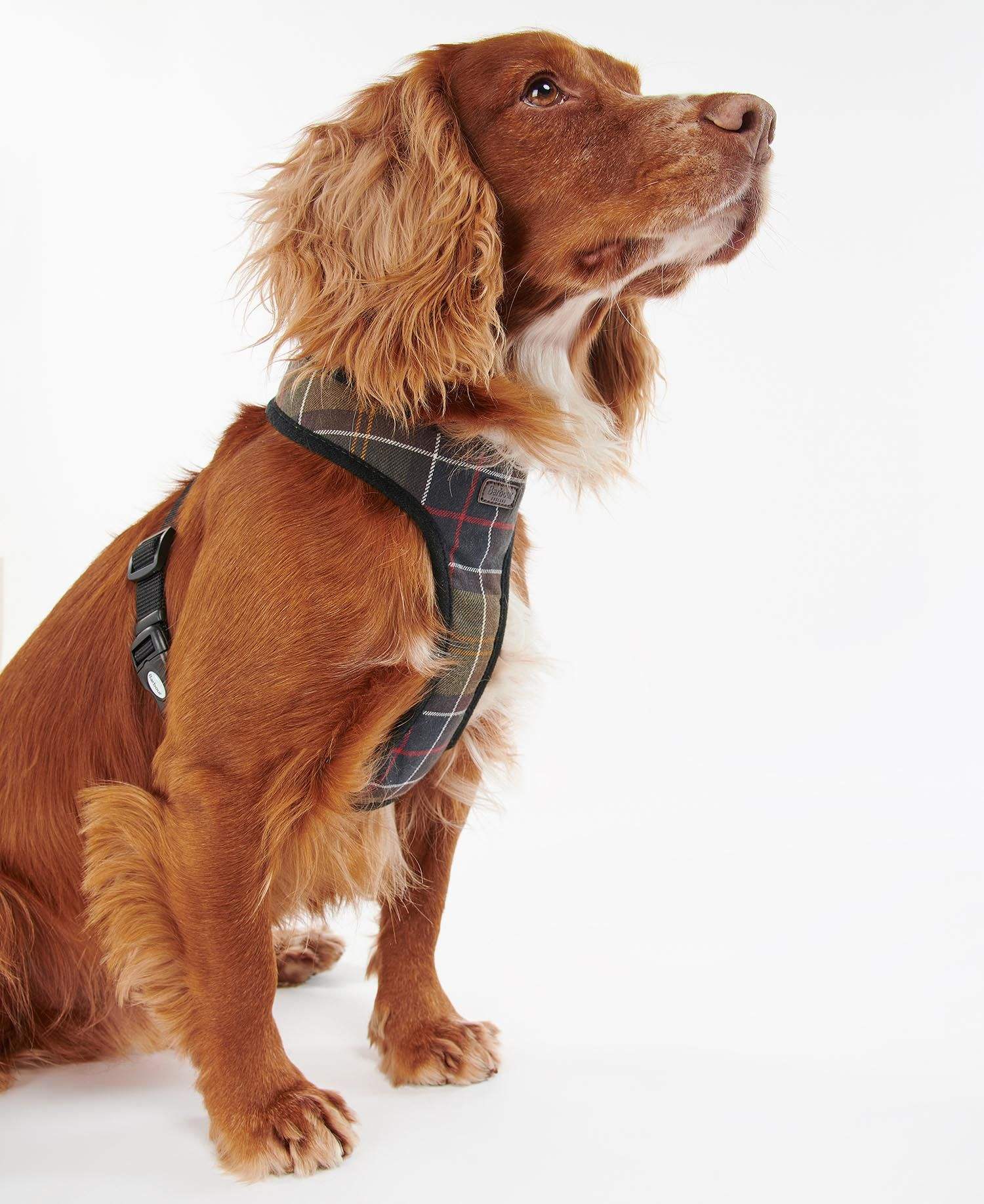 Barbour Hundabeisli - Tartan Dog Harness - Classic Tartan - Kormákur & Skjöldur