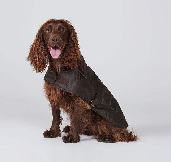 Barbour Hundajakki - Wax Dog Coat - Olive