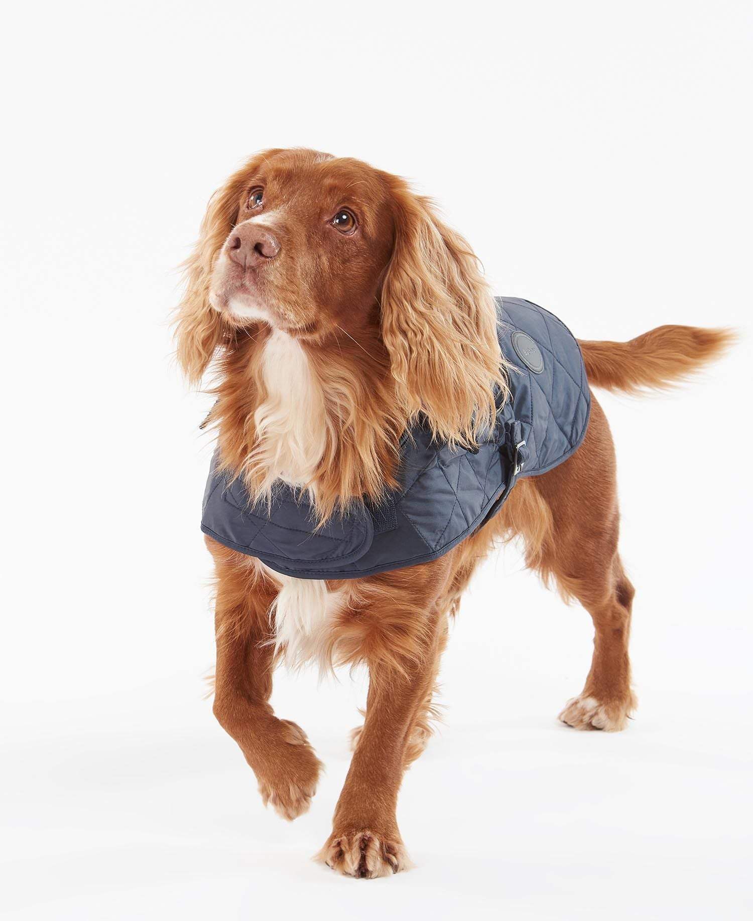 Barbour Hundajakki - Quilted Dog Coat - Navy